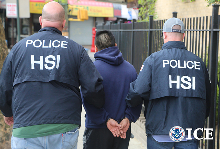 Hsi New York Announces Arrest Of 71 Individuals For Sexual