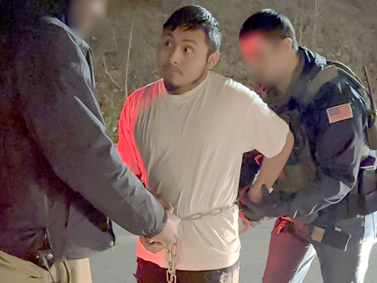 ICE Baltimore arrests Guatemalan alien with deadly weapons charges