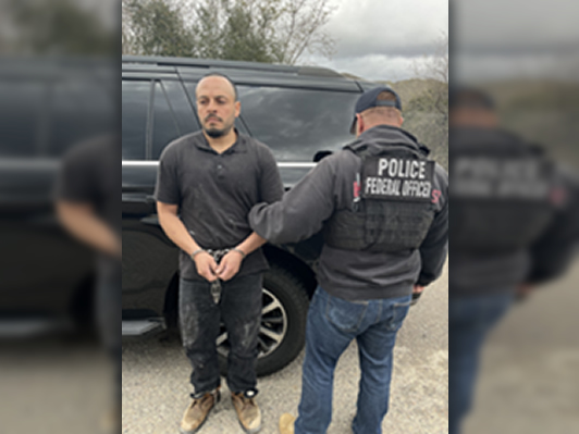 ICE San Diego arrests Mexican national with criminal history