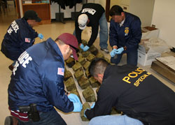 ICE agents inventorying marijuana