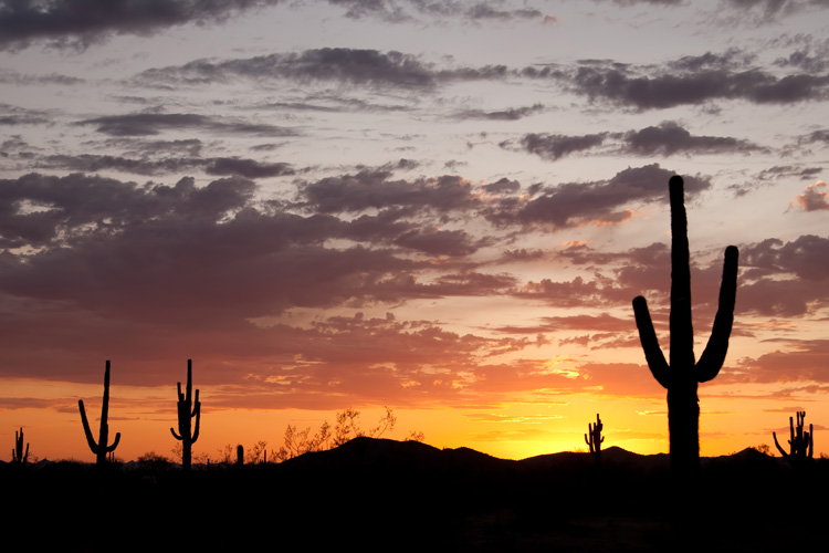 HSI targets bandit crews that exploit the Arizona border