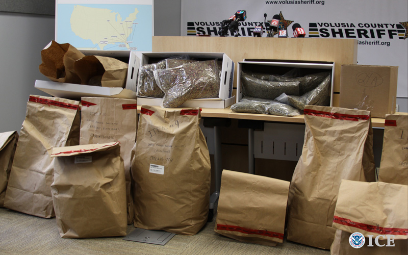HSI Cocoa Beach assists in drug trafficking organization takedown