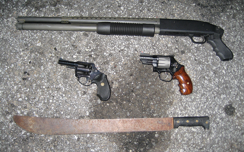 Law enforcement officials seized dozens of weapons over the course of the investigation