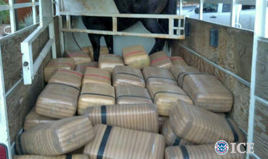 Authorities seize more than a ton of marijuana from horse trailer near Nogales