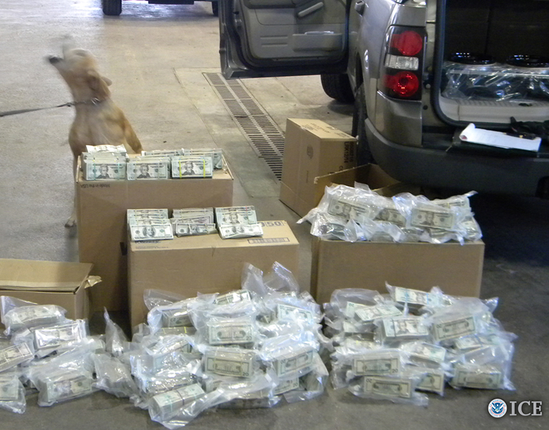  ICE Philadelphia special agents seized nearly $1.2 million in cash from large-scale drug trafficker’s rental vehicle as it headed from Pennsylvania to California. Ronald Belciano received more than 5 years in federal prison for money laundering and drug trafficking. 